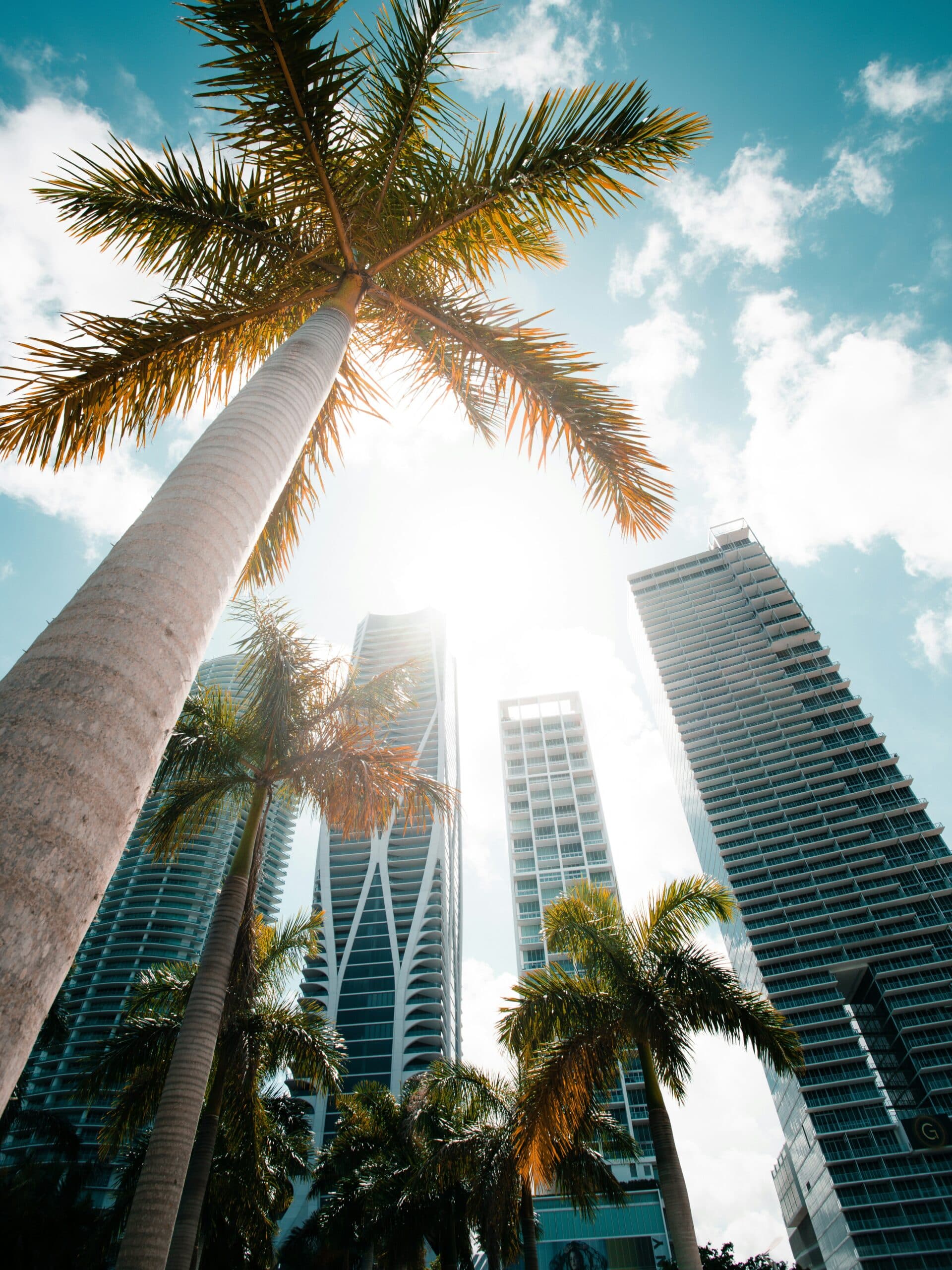 Miami 2